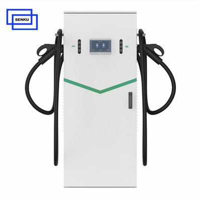 80kW CCS2 CCS1 točke punjenja električnih automobila